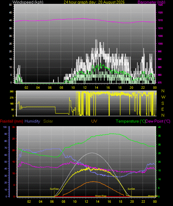 24 Hour Graph for Day 20